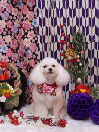 20250116シェリーちゃん